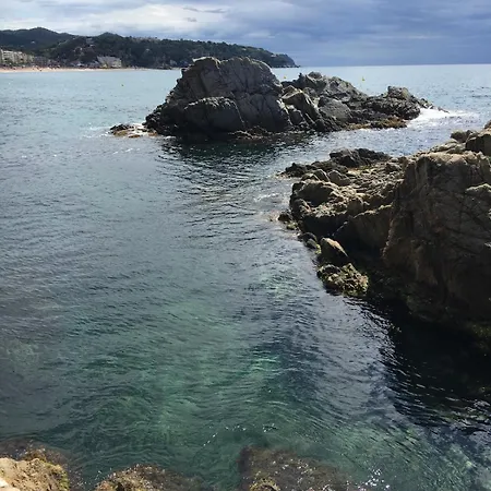 Lägenhet Seahomes Vacations - Seafront Fenals & Pkg *