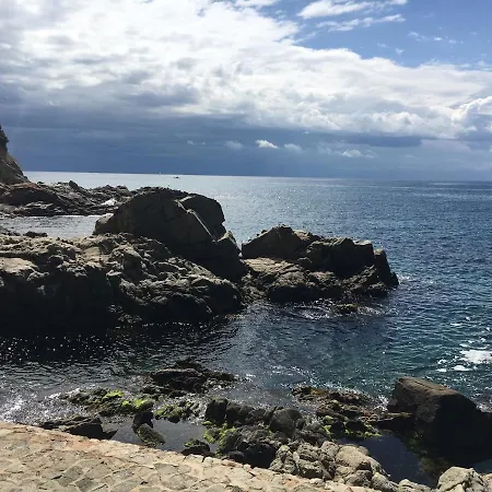 公寓 Seahomes Vacations - Seafront Fenals & Pkg 滨海略雷特