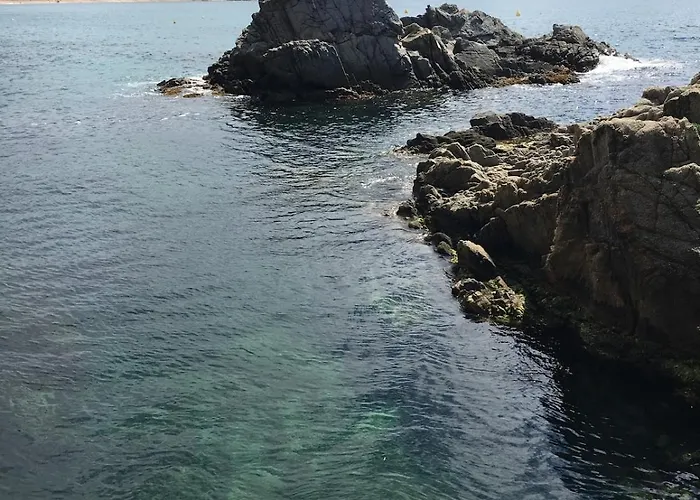 Appartement Seahomes Vacations - Seafront Fenals & Pkg *